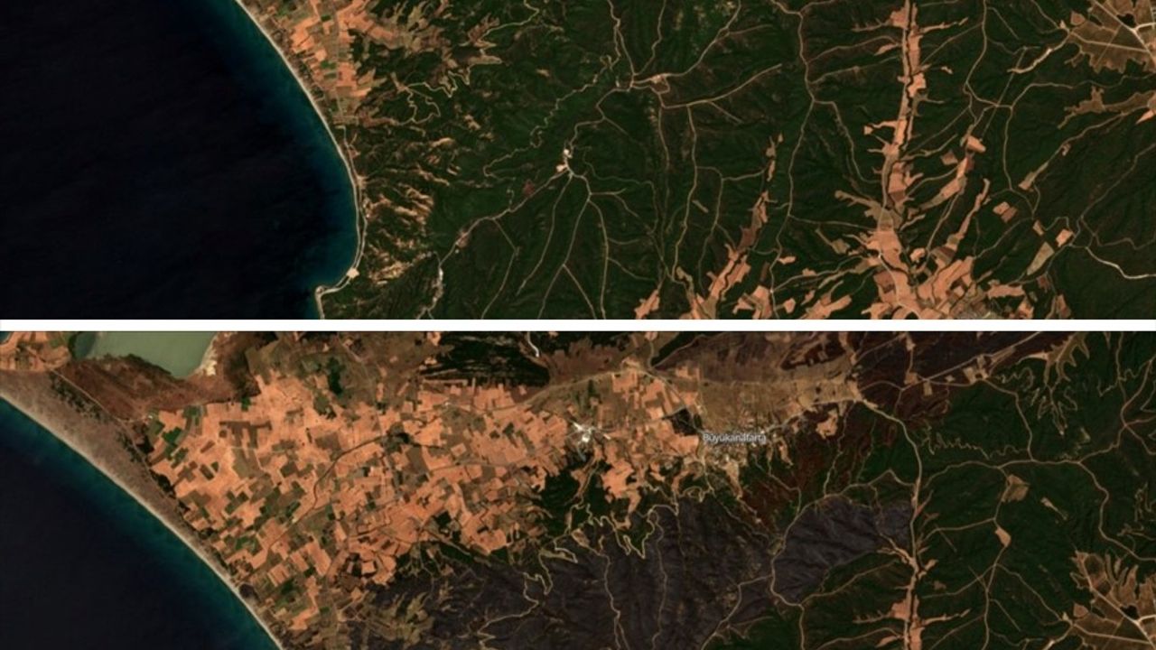 Uzaydan Görüntülenen Türkiye'deki Orman Yangınlarının Boyutu Açıklandı