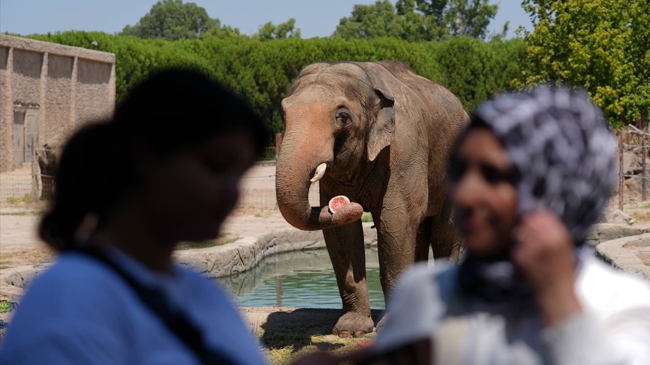 Winner'ın 22. Doğum Günü Kutlandı