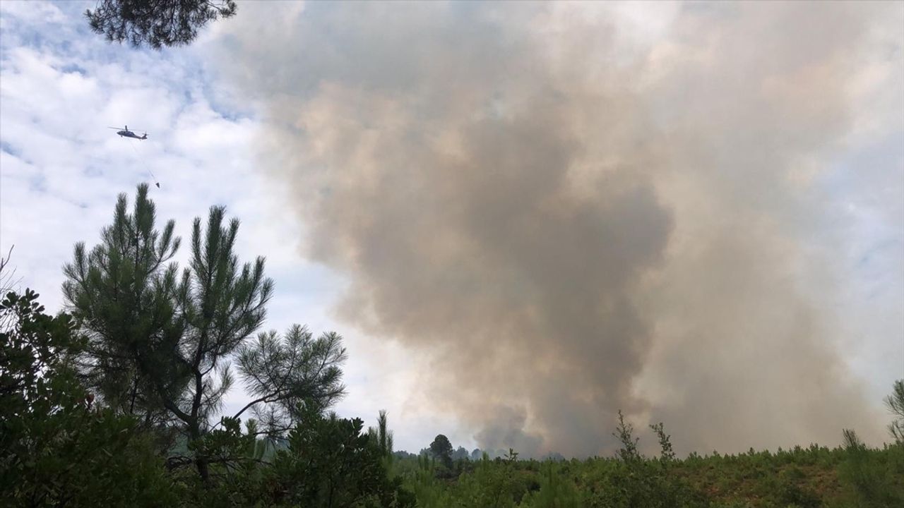 Yalova'da Orman Yangınına Müdahale Başlatıldı