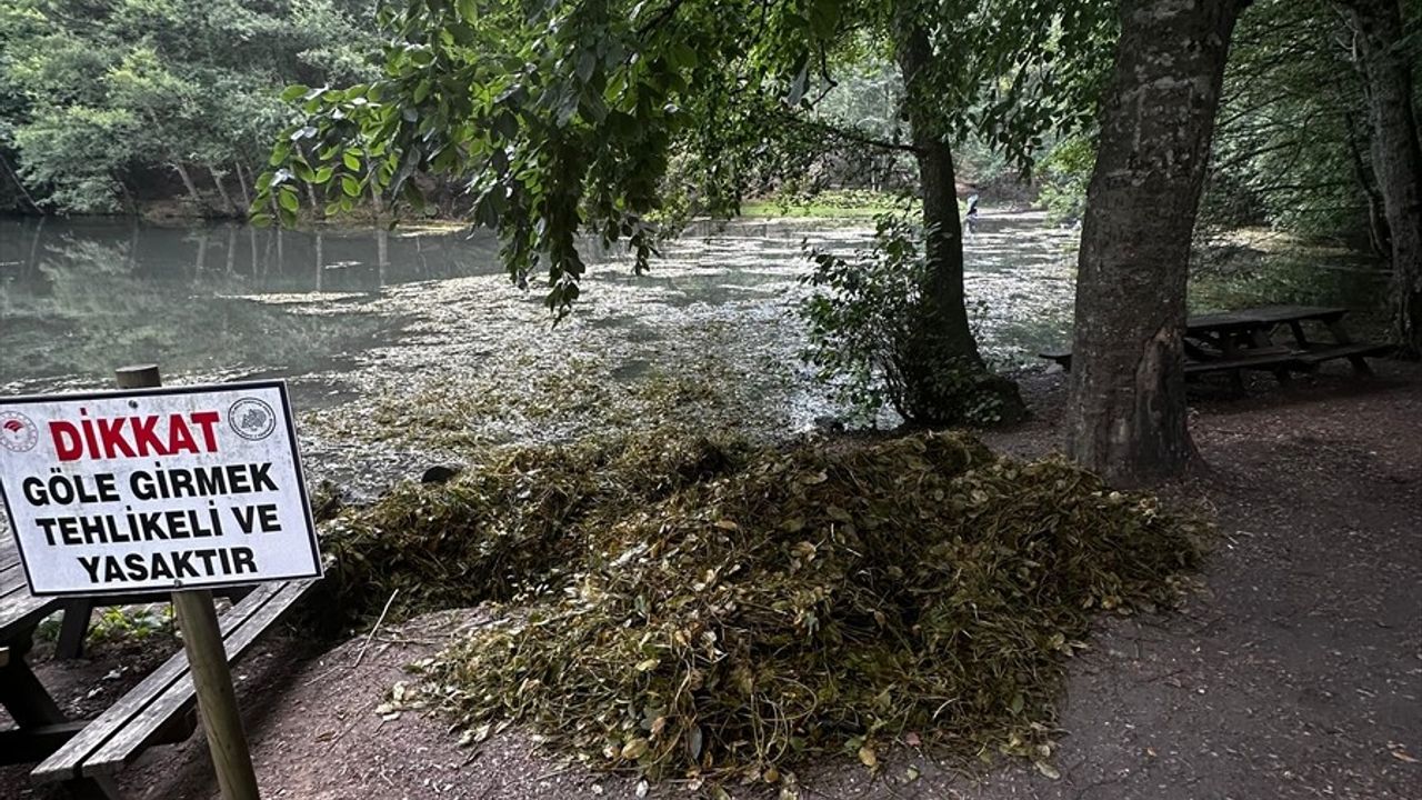 Yedigöller Milli Parkı'ndaki Göllerin Temizliği Tamamlandı