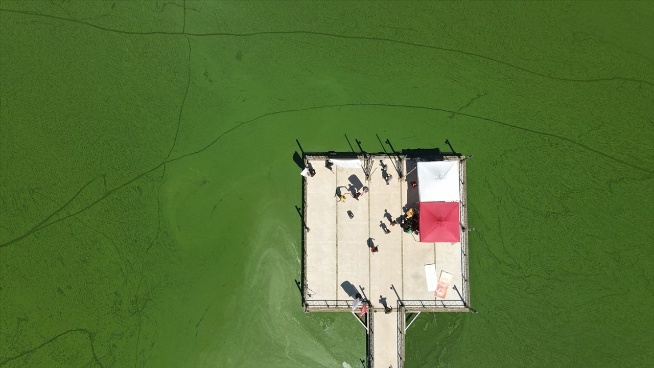 Yeniçağa Gölü'nde Alg Patlaması Renk Değiştirdi