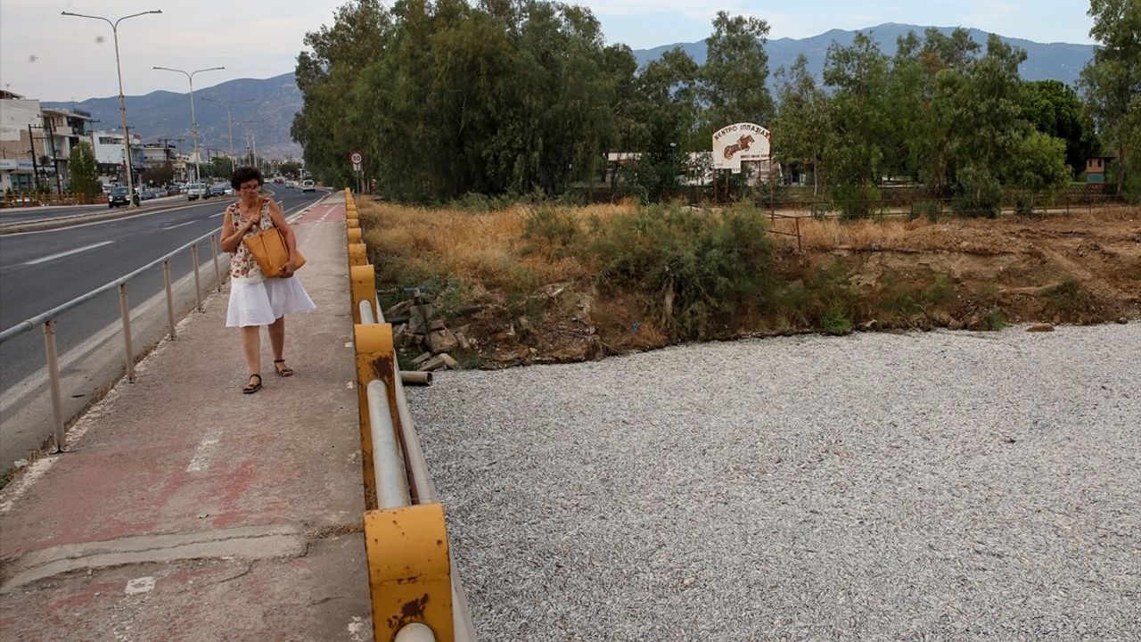 Yunanistan'da Ölü Balık Krizi: Volos'ta Turizm Tehdidi