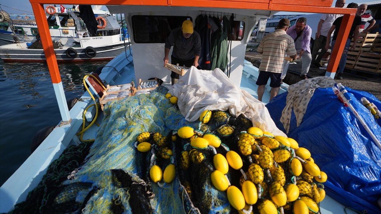 Akçakoca Limanı'nda Palamut Bereketi