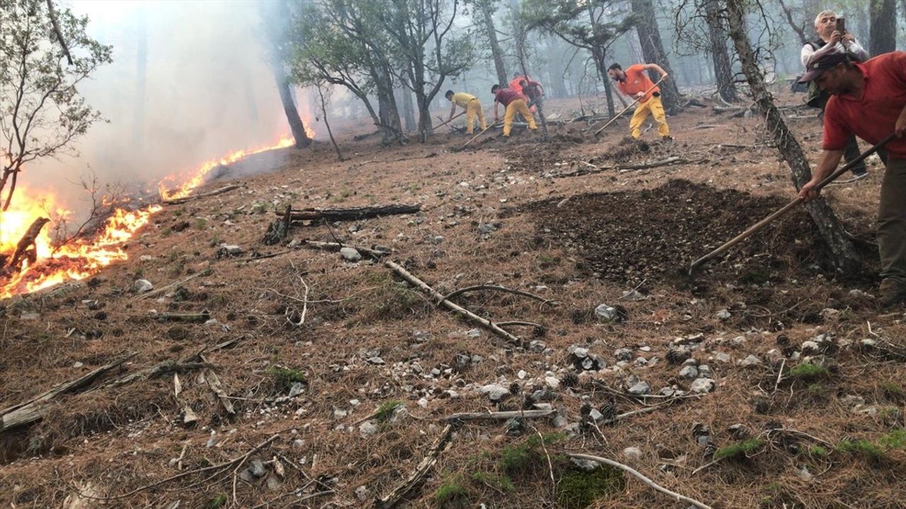 Antalya'da Yıldırımın Tetiklediği Orman Yangınına Müdahale Ediliyor