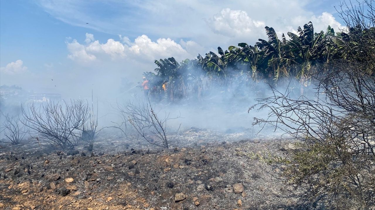 Antalya'daki Yangın Kontrol Altına Alındı
