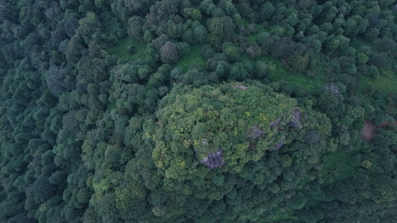 Artvin'de Arkeolojik Kazılara Jeoradar Desteği