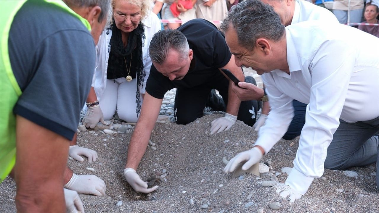 Çıralı Sahilinde 4 Bin Caretta Caretta Yavrusunun Denize Kavuştuğu Tarihi An