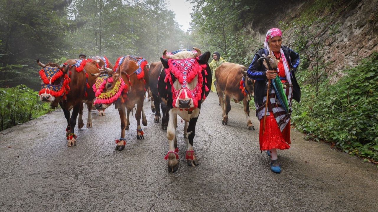 Doğu Karadeniz Yaylalarında Besicilerin Dönüş Yolculuğu