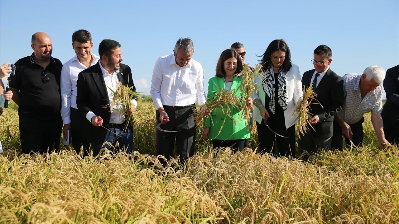 Edirne'de Çeltik Tarla Günü Coşkuyla Kutlandı