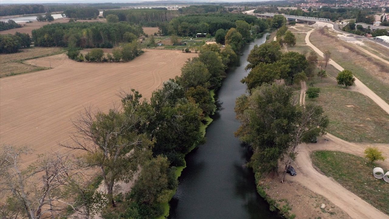 Edirne'de Tunca Nehri'nin Debisi Düşmeye Devam Ediyor