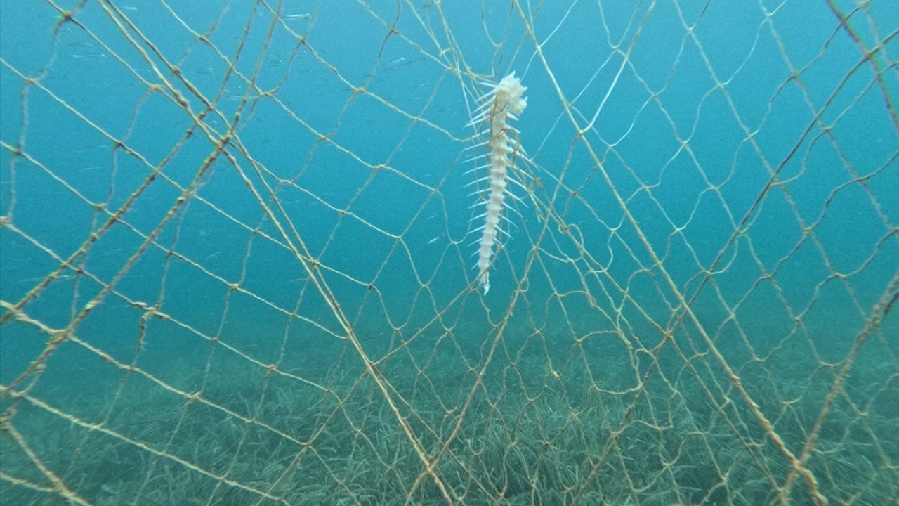 Edremit Körfezi'nde Hayalet Ağ Temizliği Başladı