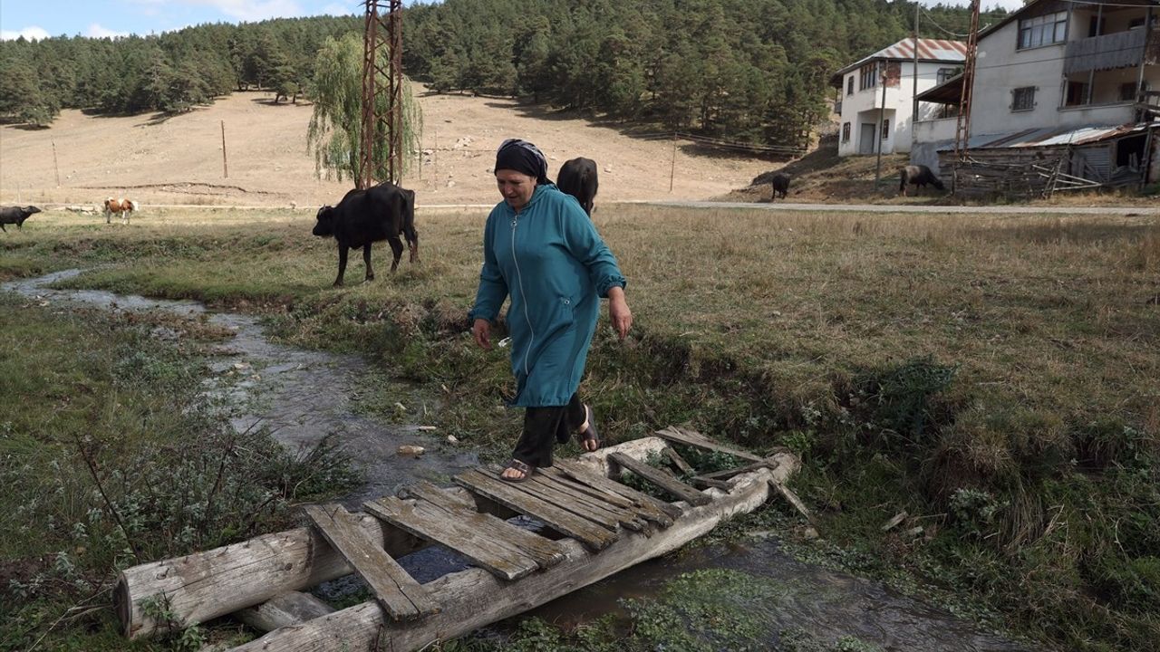 Eğriçimen ve Perşembe Yaylaları'nın Doğal Güzellikleri