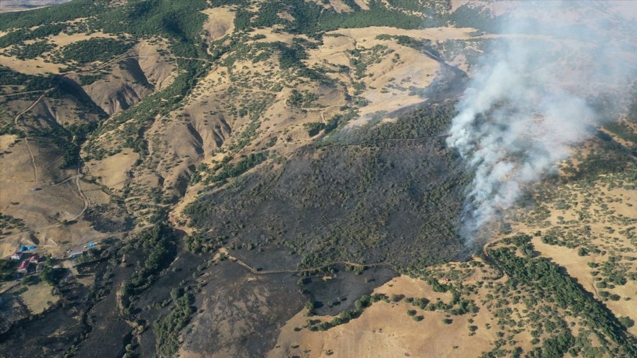 Elazığ'da Orman Yangını Kontrol Altına Alındı
