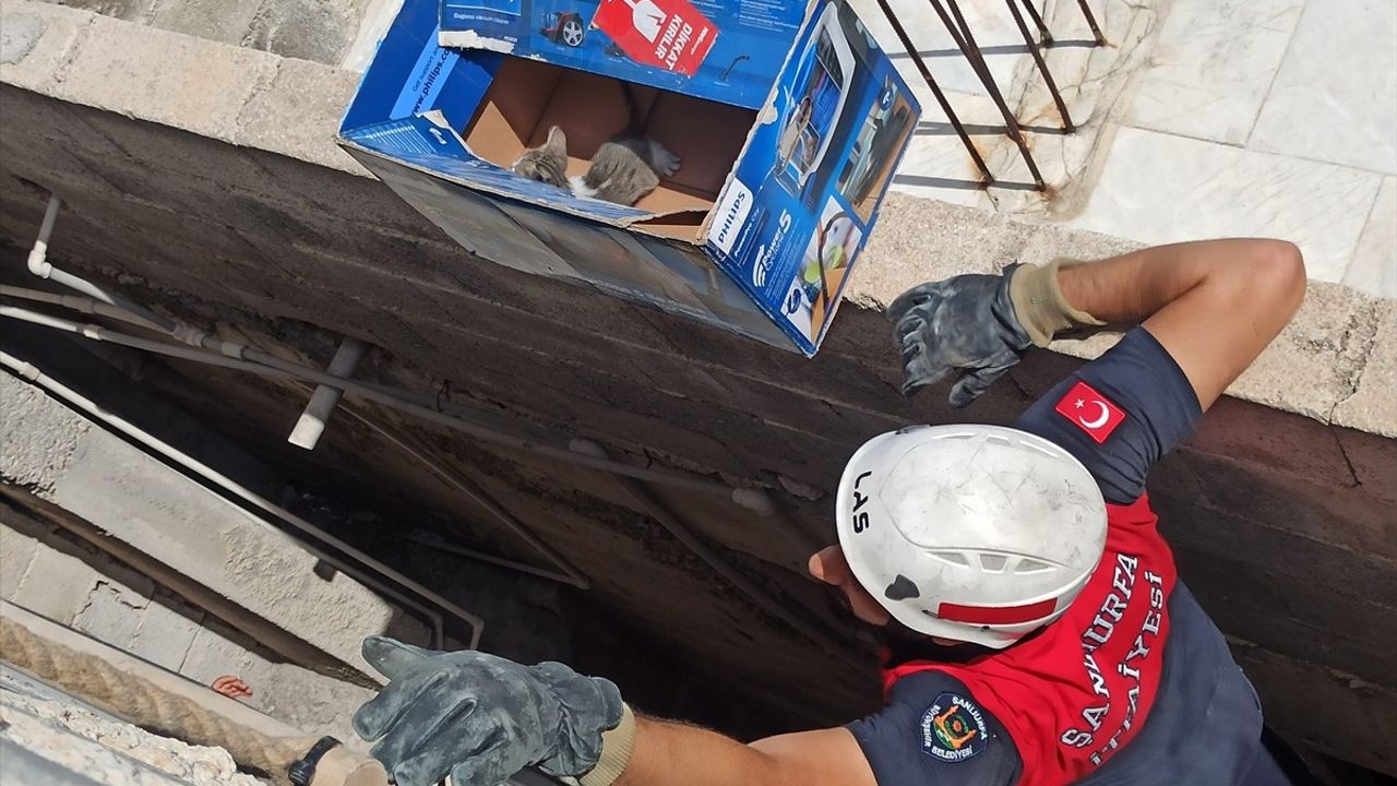 Eyyübiye'de İki Kedi Yavrusu Havalandırma Boşluğundan Kurtarıldı