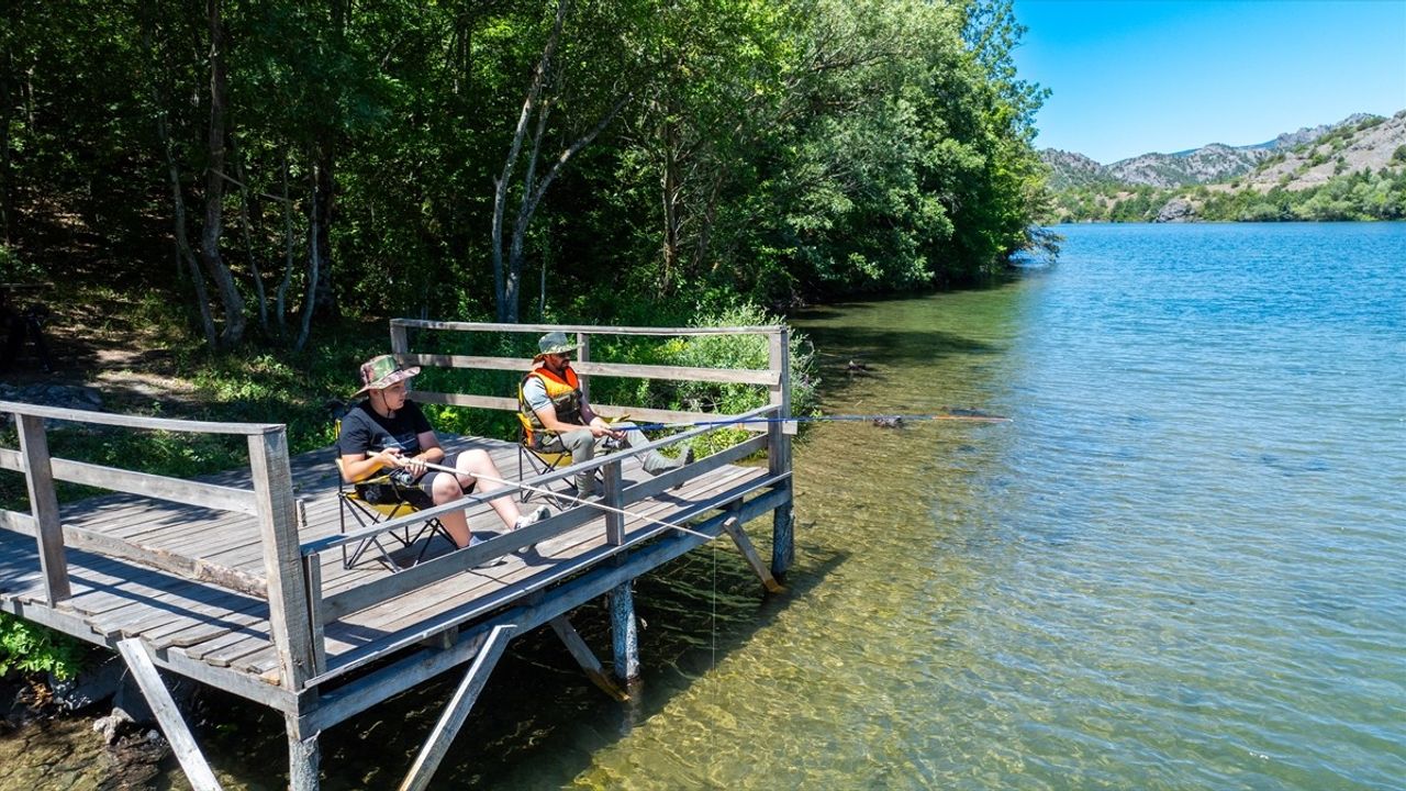 Harami Yaylası: Tokat'ın Olta Balıkçılarının Yeni Cenneti