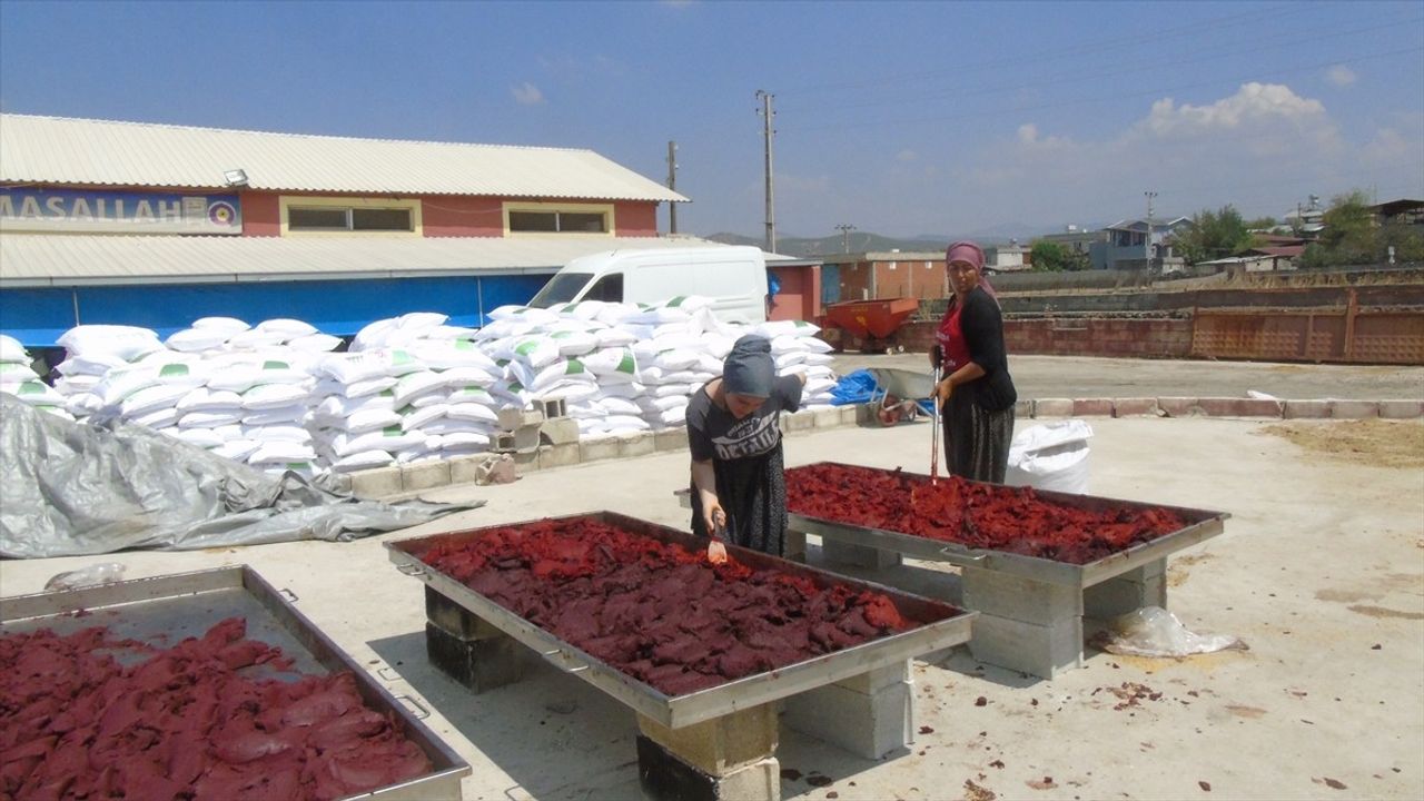 İslahiye Biberinin Salça Yolculuğu Başladı