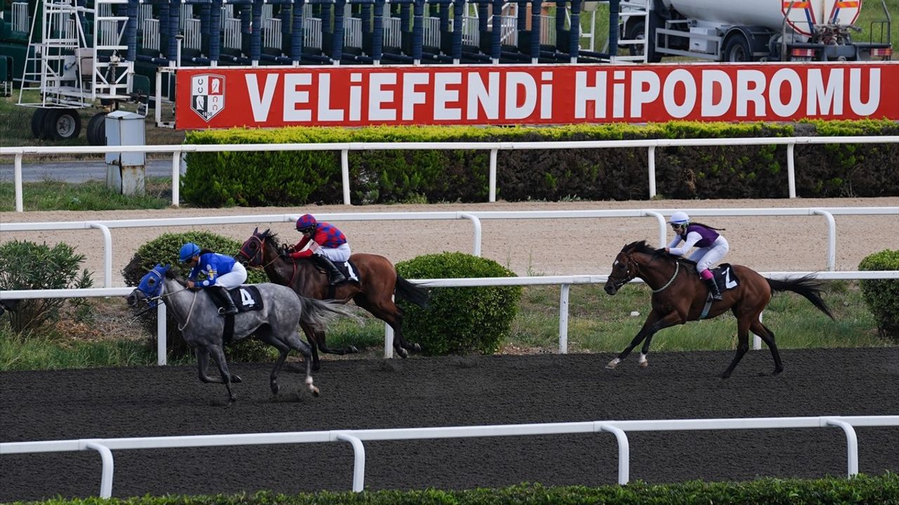 İstanbul Yarış Festivali'nde Kadın Jokeyler Şampiyonada Yarıştı