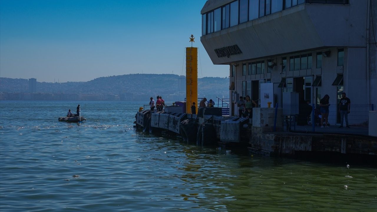 İzmir Körfezi'nde Balık Ölümleri Devam Ediyor