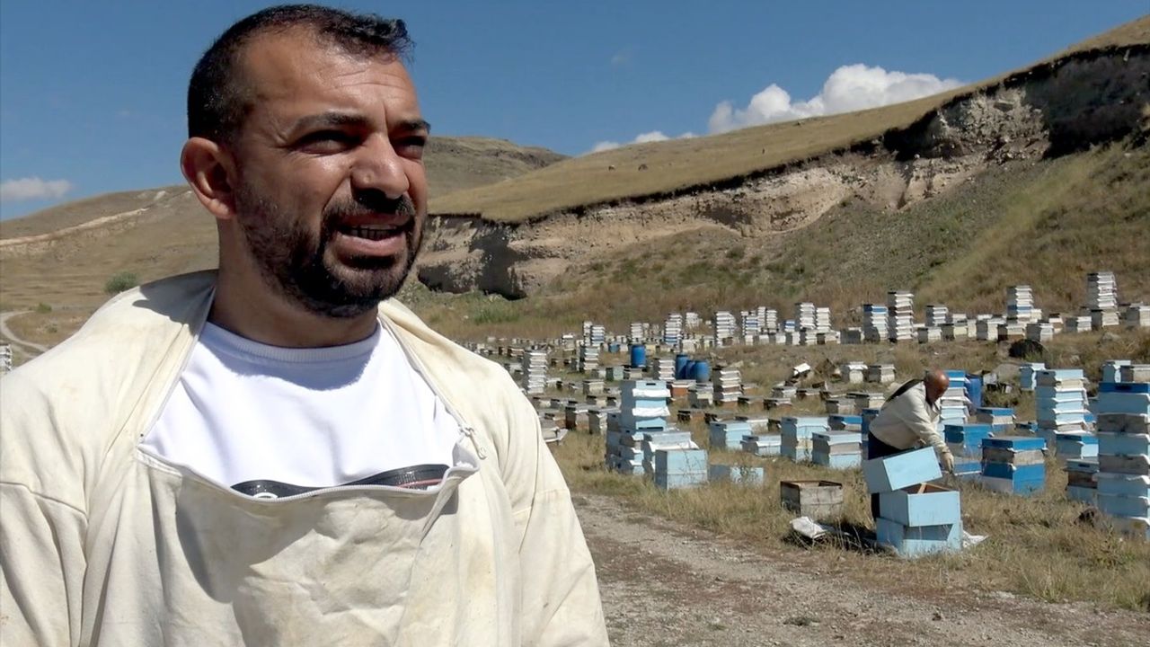 Kars'ta 2.500 Rakımda Bal Hasadı Başladı