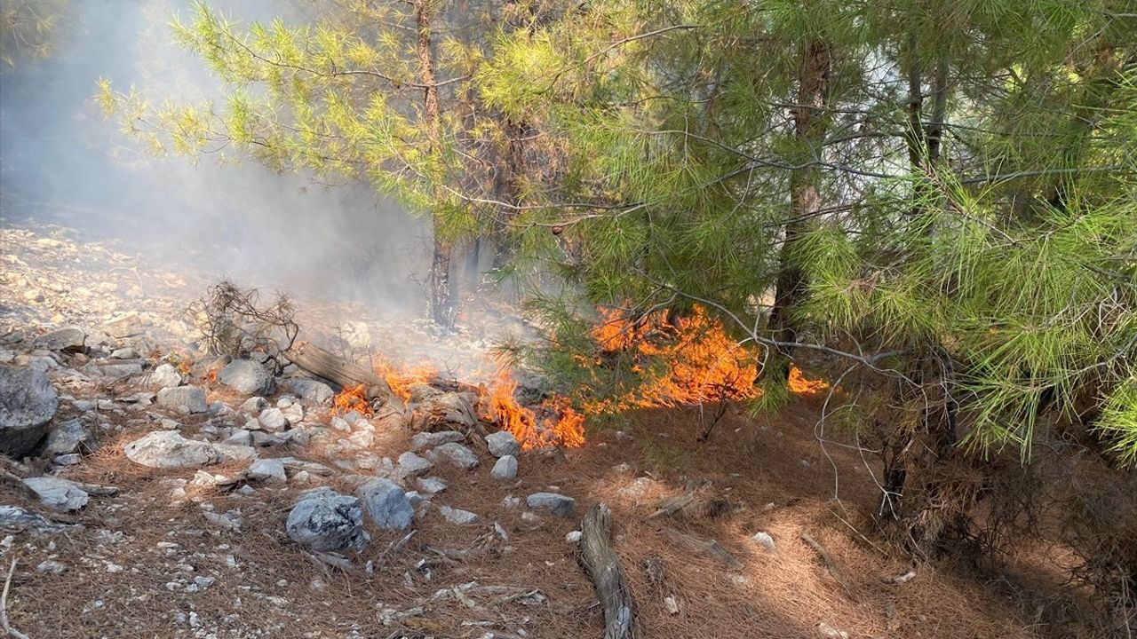 Kaş'taki Orman Yangını Nedeniyle Gözaltına Alınan Şüpheli Serbest Bırakıldı