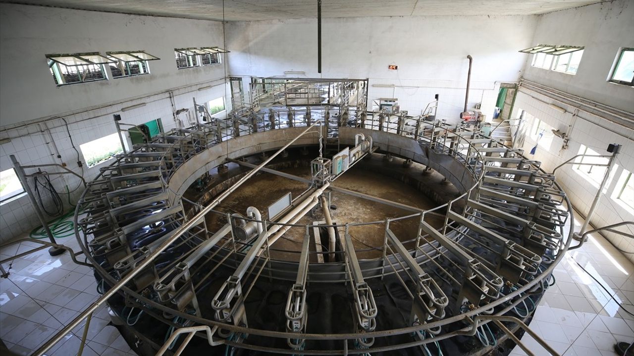 Kırklareli'deki Süt Üretim Tesisinde Yenilenebilir Enerji Dönemi