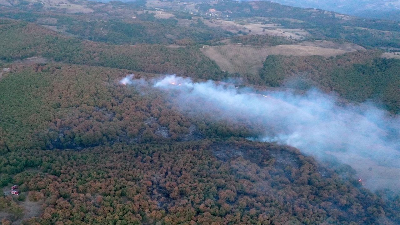 Kocaeli’de Orman Yangını Kontrol Altına Alındı
