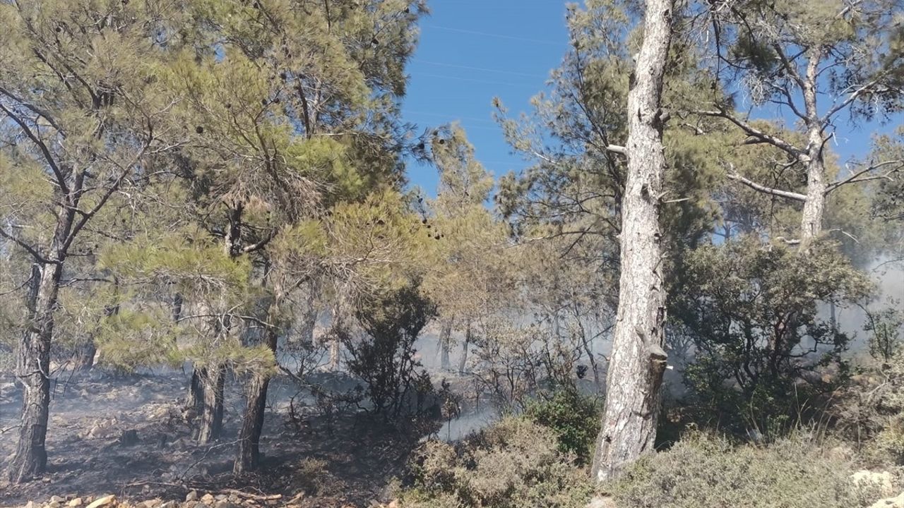 Mersin Gülnar'da Orman Yangını Kontrol Altına Alındı