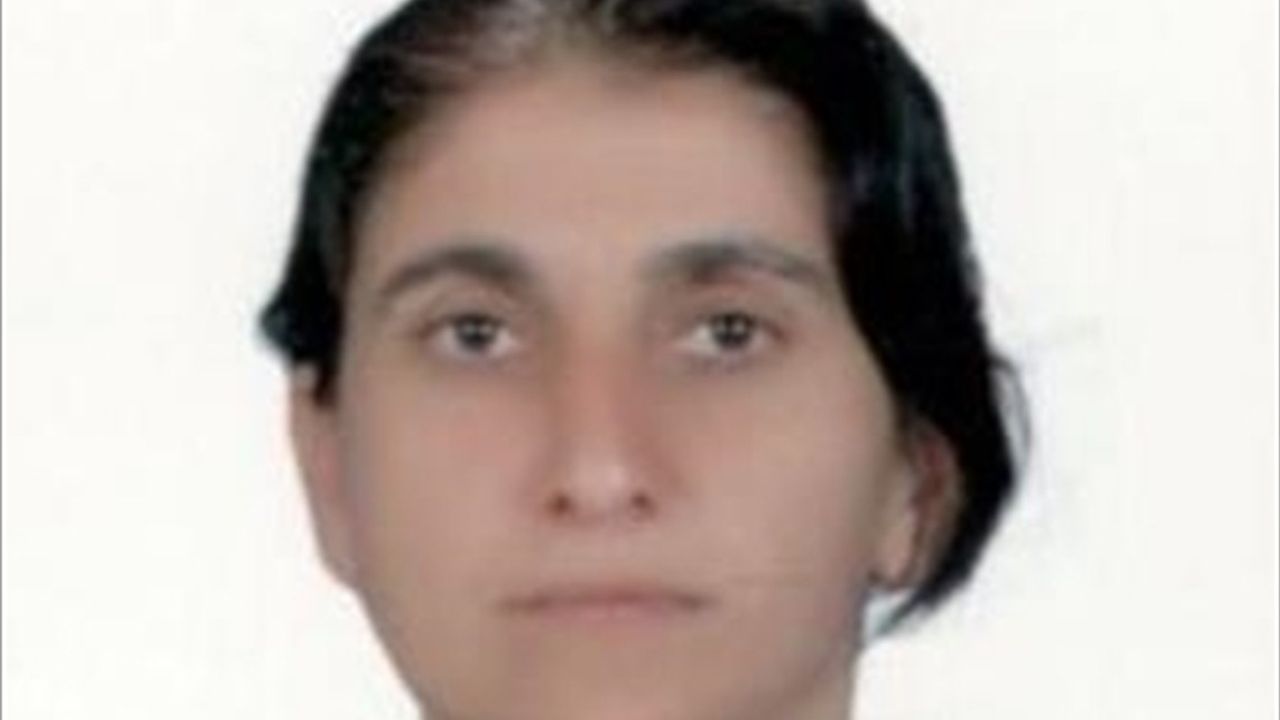 MİT, PKK'nın İran Sorumlusunu Süleymaniye'de Yakaladı