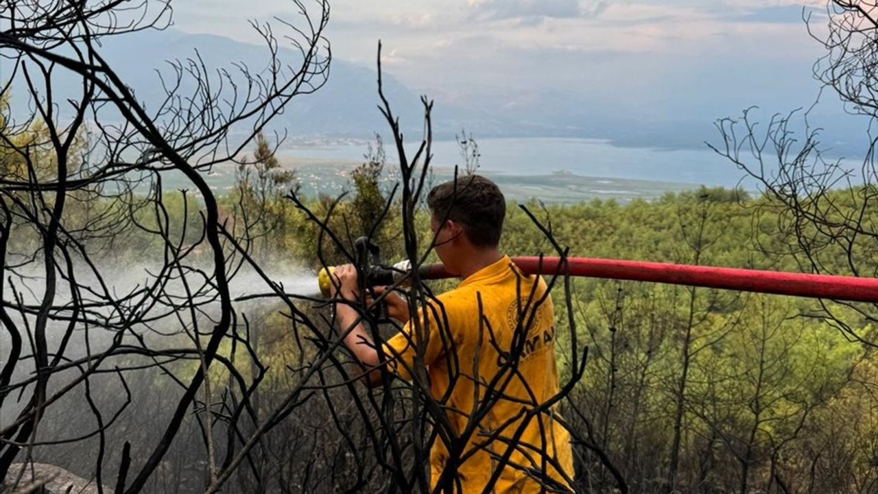 Muğla'da Yıldırım Sebebiyle 50 Noktada Orman Yangını