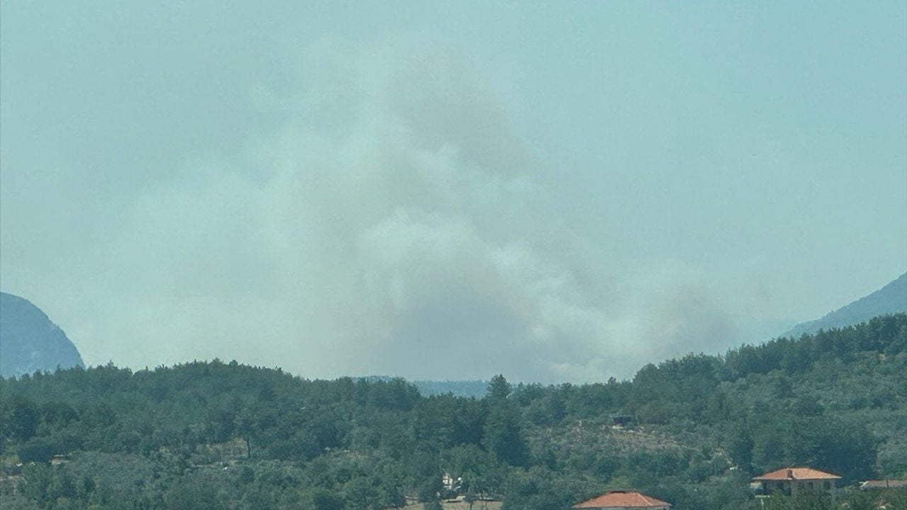 Muğla'daki Orman Yangınına Yoğun Müdahale