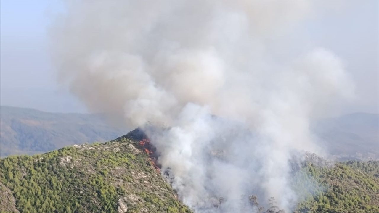 Muğla'nın Milas İlçesinde Orman Yangınına Hızlı Müdahale