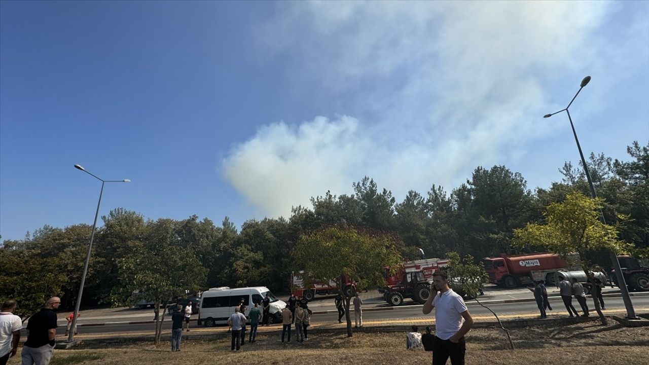 OMÜ Kampüsü Ormanında Yangın Söndürme Çalışmaları Devam Ediyor