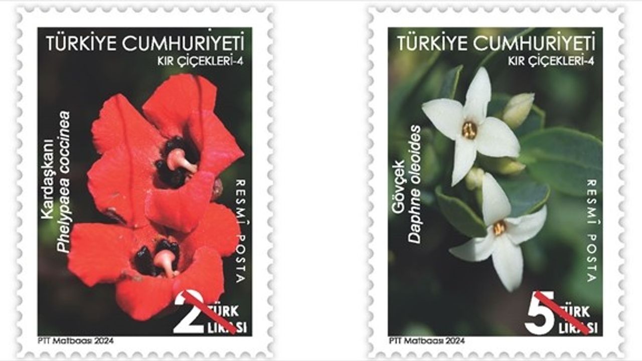 PTT'den Yeni Posta Pulu: Kır Çiçekleri-4