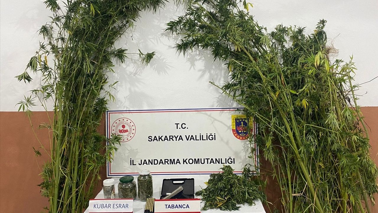 Sakarya'da Uyuşturucu Operasyonunda 1 Tutuklama