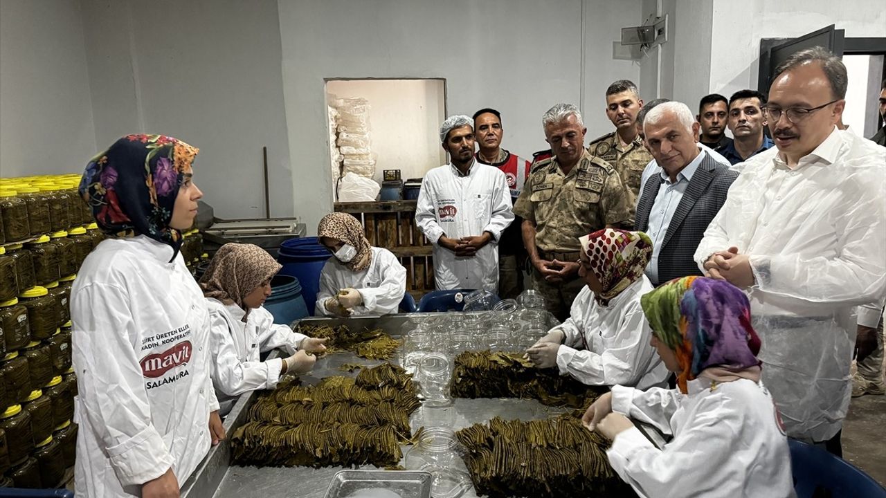 Siirt'te Tayfi Üzüm Hasadı Başladı