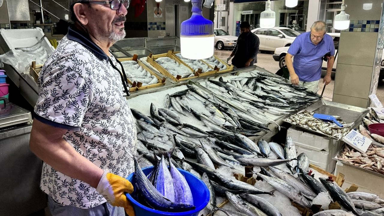 Sinop'ta Balık Bolluğu: Palamut ve Hamsi Tezgahlarda