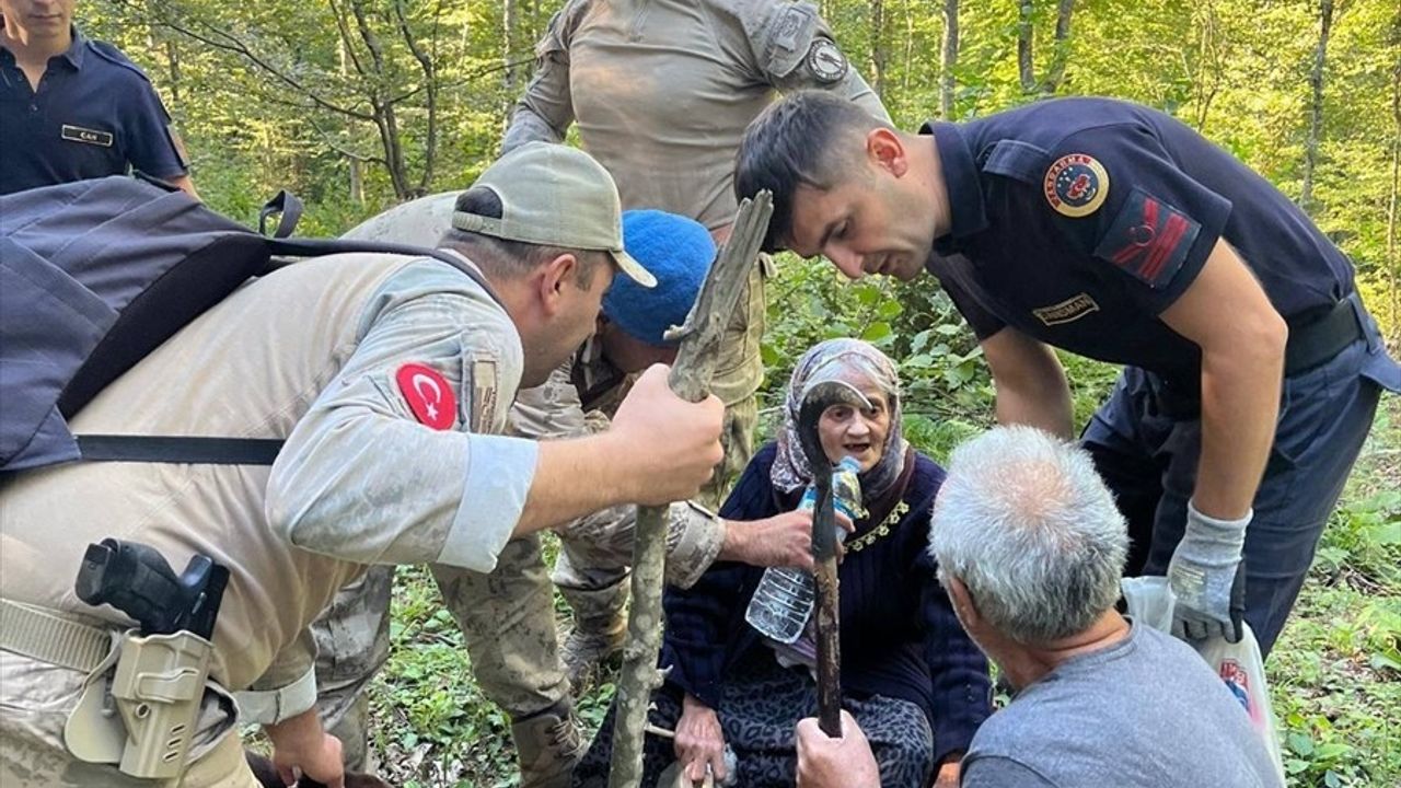 Sinop'ta Mantar Toplarken Kaybolan Kadın Ormanda Bulundu