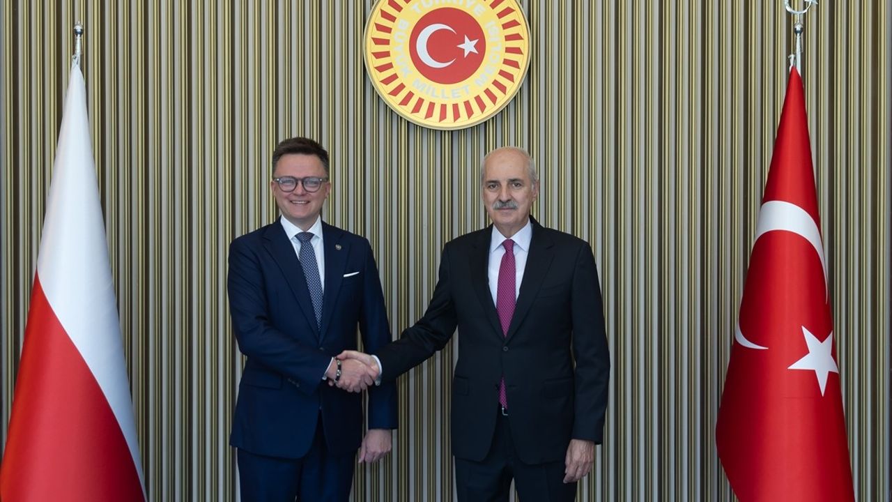 TBMM ve Polonya Meclisi: İkili İlişkiler ve Ortak Sorunlar
