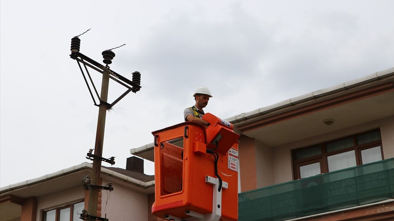 Tekirdağ'da Elektrik Direğinde Kumru Yuvasi Korunuyor