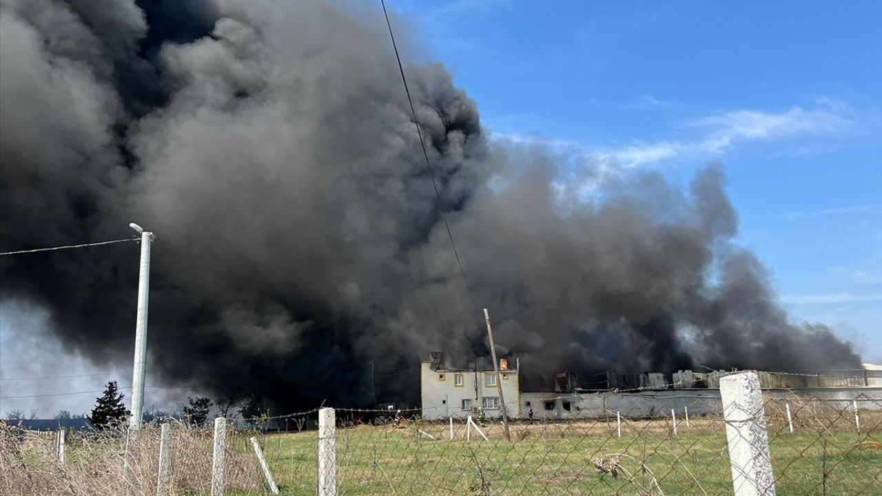 Tekirdağ'da Fabrika Yangını: Müdahale Devam Ediyor