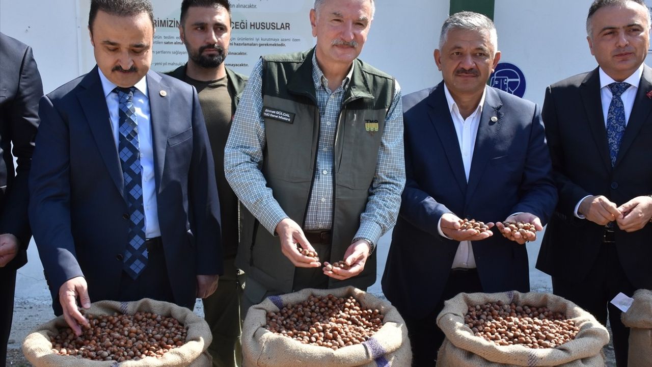 TMO Genel Müdürü Ordu'da Fındık Alım Sürecini Değerlendirdi