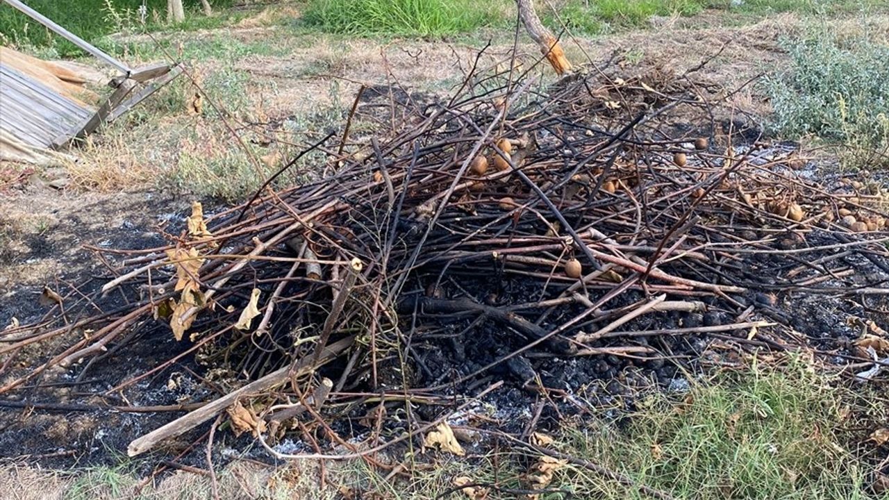 Yalova'da Düşen Eğitim Uçağı İhbarı Asılsız Çıktı