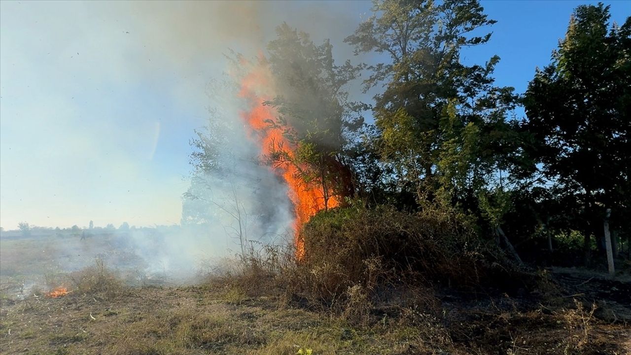 Adana'da Çalılıktan Tarım Alanına Sıçrayan Yangın Kontrol Altına Alındı
