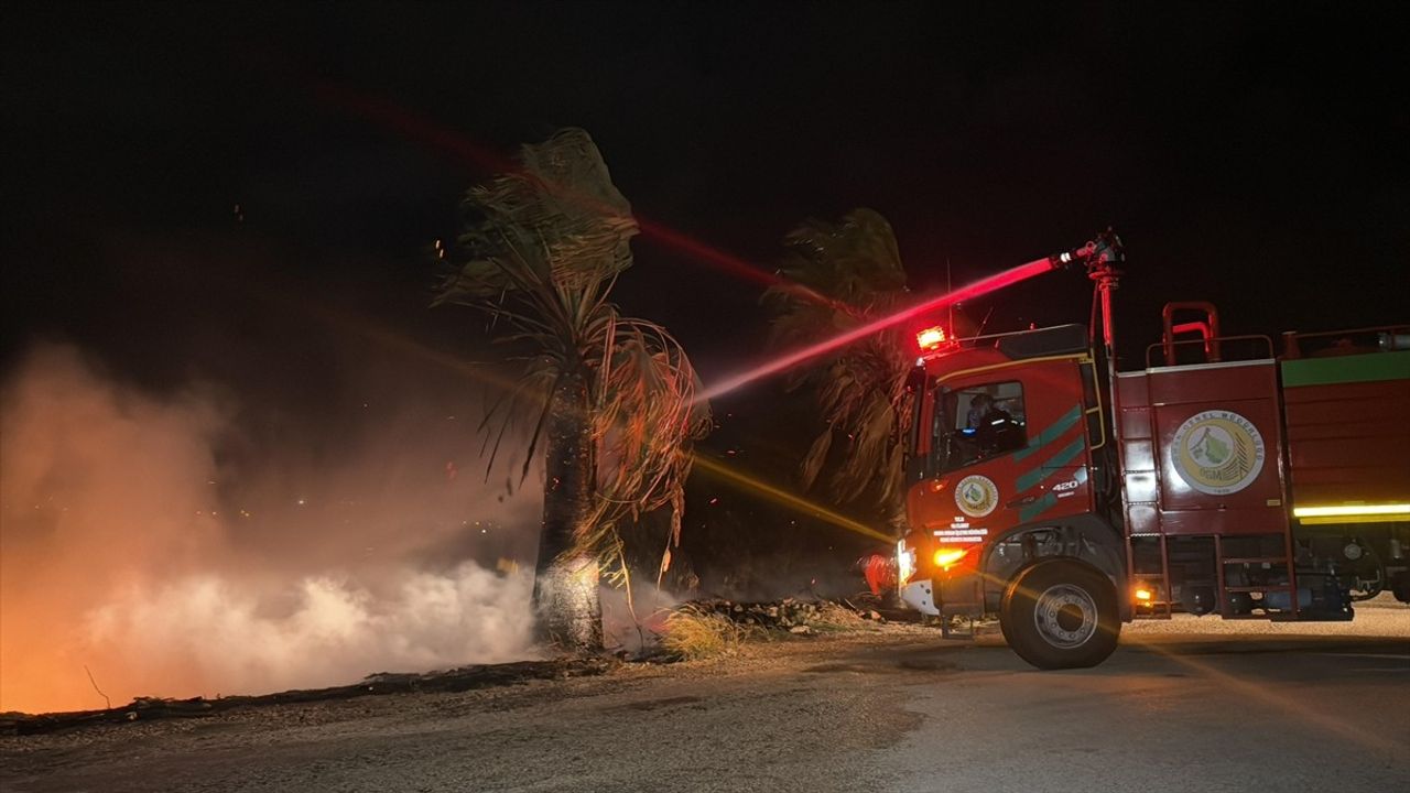 Adana'da Orman Yangınına Müdahale Devam Ediyor