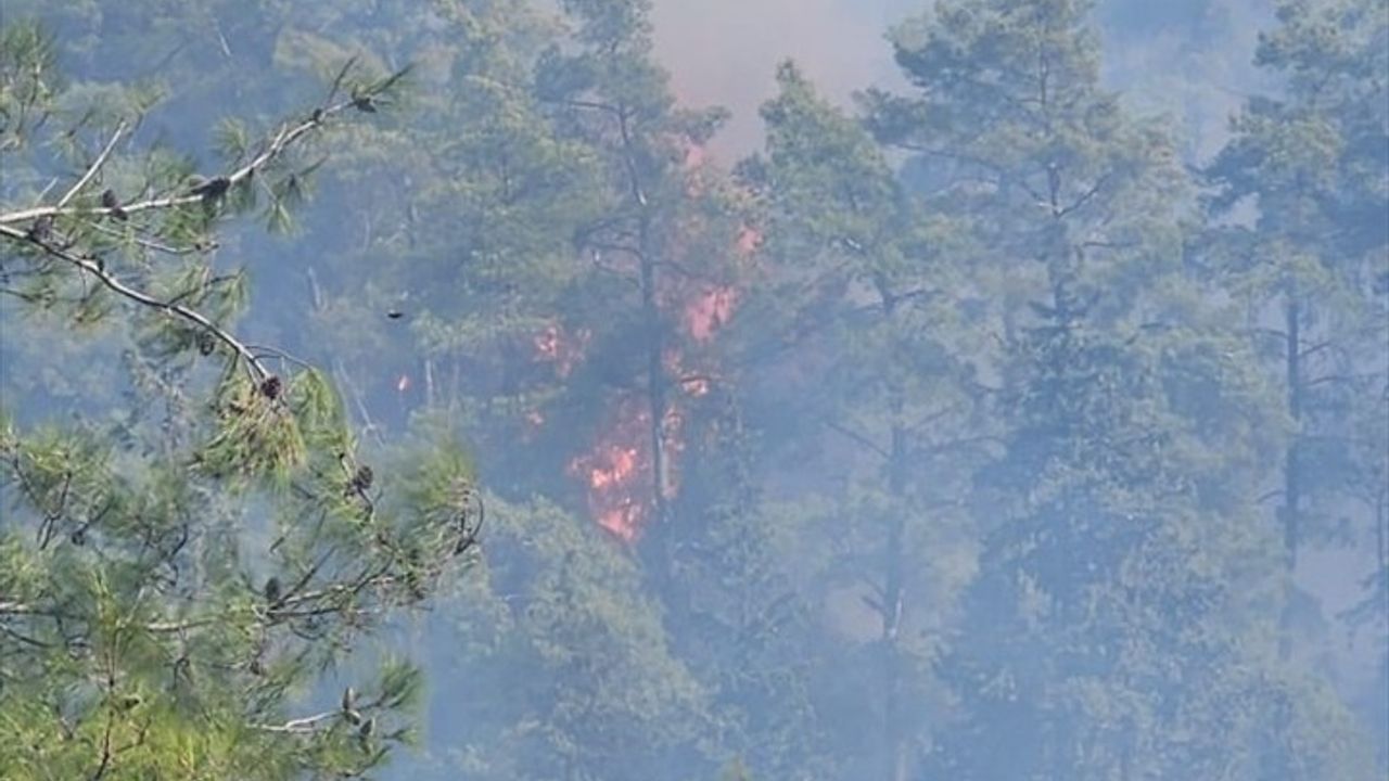 Antalya'daki Orman Yangını: Ekipler Hızla Müdahale Etti