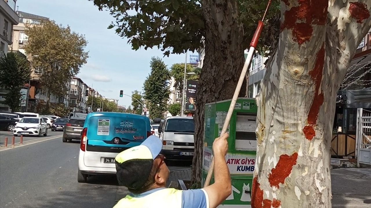 Bahçelievler'de İETT Otobüsü Çınar Ağacına Çarptı