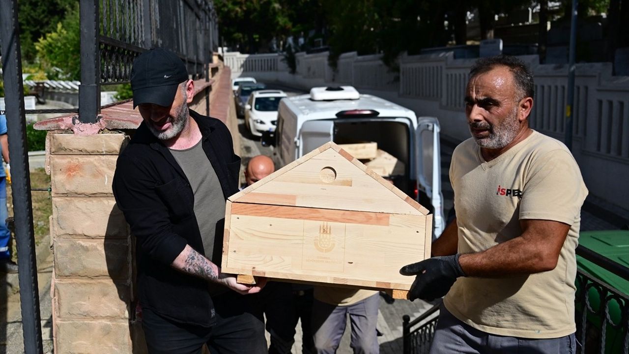 Cem Garipoğlu'nun Mezarı Yeniden Kapatıldı