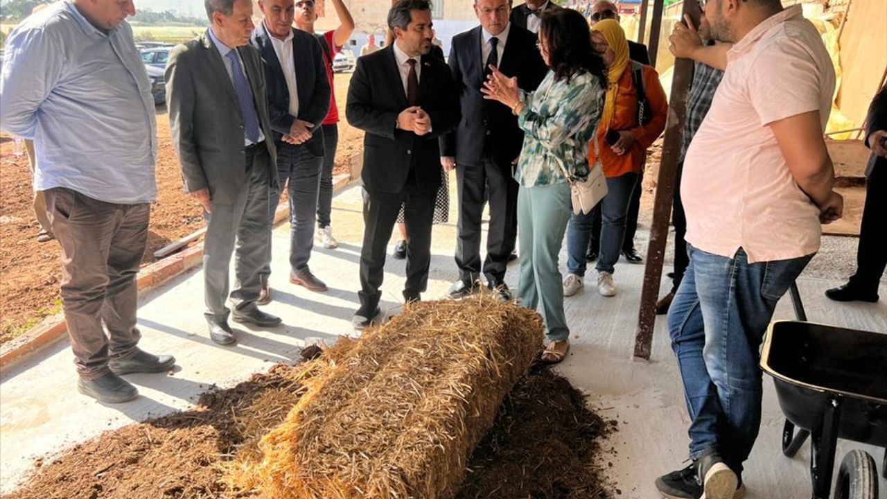 Cezayir'de TİKA'dan Mantar Üretim Çiftliği