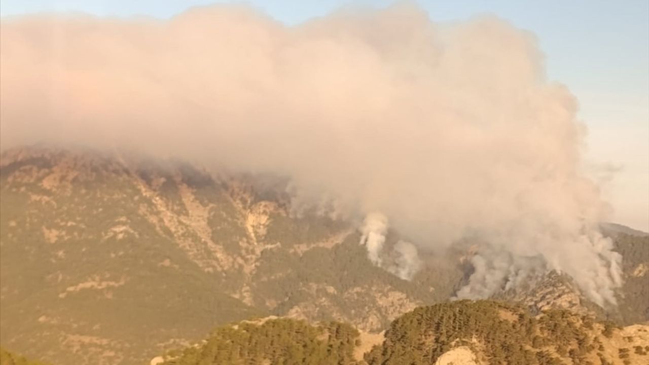 Denizli'deki Orman Yangınına Hızla Müdahale Ediliyor
