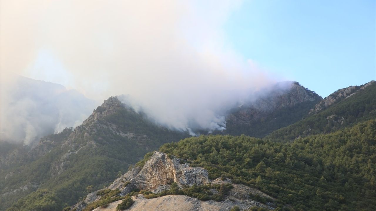 Denizli'deki Orman Yangınına Müdahale Devam Ediyor